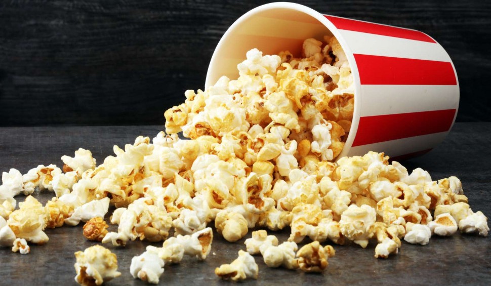 المشاريع المربحة