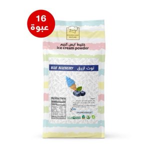 Blueberry Ice Cream Powder Carton – 16 Bags